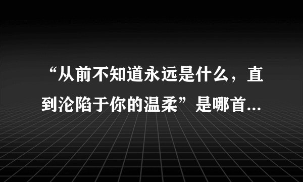 “从前不知道永远是什么，直到沦陷于你的温柔”是哪首歌的歌词？