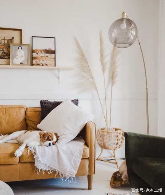 家里的墙面就是白墙,有什么装饰的好办法吗?