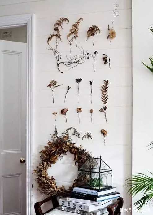 家里的墙面就是白墙,有什么装饰的好办法吗?