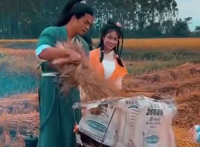 广西的一对农村夫妻装扮成郭靖和黄蓉收稻子,你觉得他们模仿的像吗?