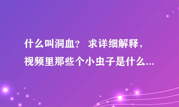 什么叫洞血？ 求详细解释，视频里那些个小虫子是什么东西啊？好恶心的说......