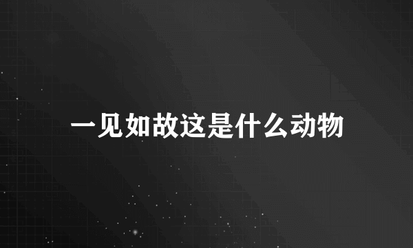 一见如故这是什么动物