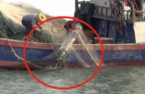 渔民捞到间谍装置，这是怎么回事呢？