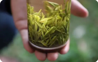 十大名茶最新排名