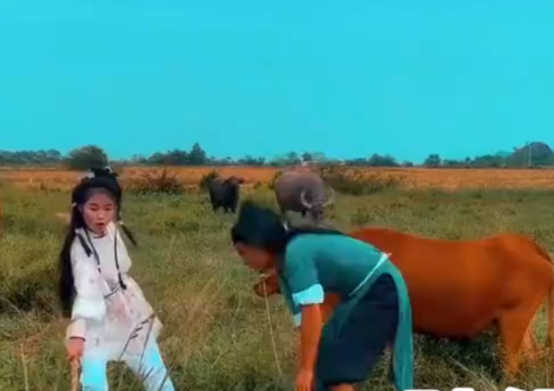 广西的一对农村夫妻装扮成郭靖和黄蓉收稻子，你觉得他们模仿的像吗？