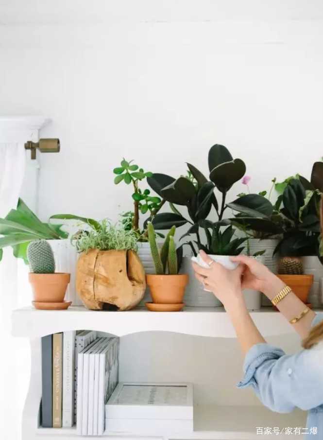 家里的墙面就是白墙,有什么装饰的好办法吗?