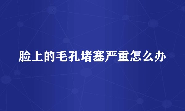 脸上的毛孔堵塞严重怎么办