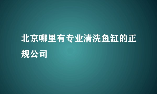 北京哪里有专业清洗鱼缸的正规公司