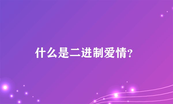 什么是二进制爱情？