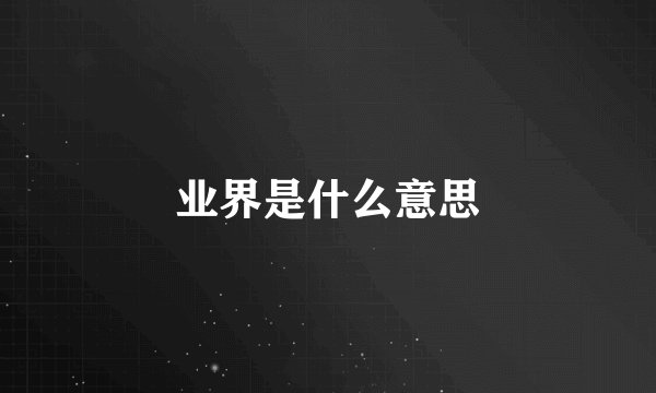 业界是什么意思