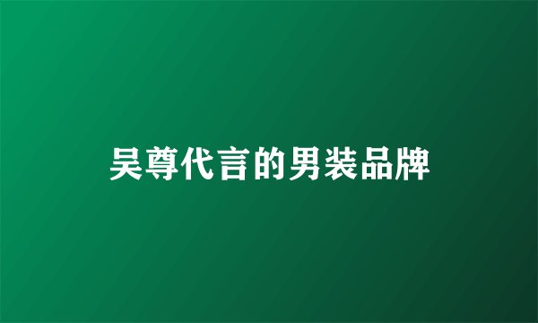 吴尊代言的男装品牌