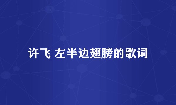许飞 左半边翅膀的歌词