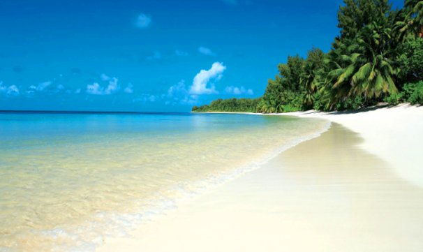 一年有几个季度