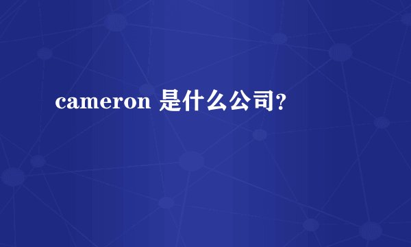 cameron 是什么公司？
