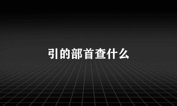 引的部首查什么