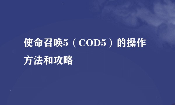 使命召唤5（COD5）的操作方法和攻略