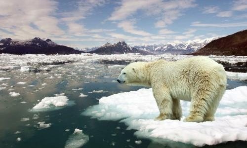 melted 和 molten的区别