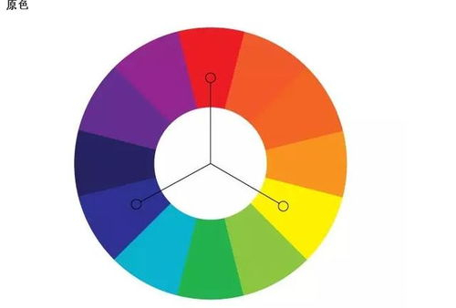 在画画中，“三原色”是指哪三个？