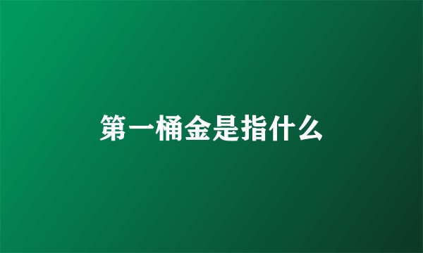 第一桶金是指什么