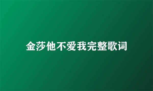 金莎他不爱我完整歌词