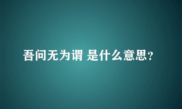 吾问无为谓 是什么意思？