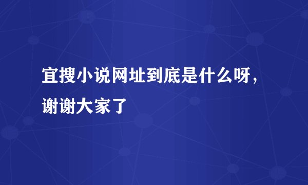 宜搜小说网址到底是什么呀，谢谢大家了