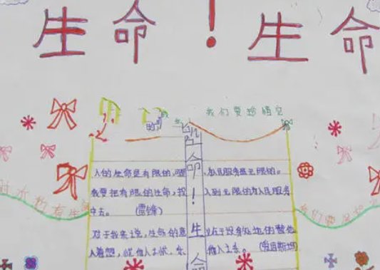 vita是什么意思？