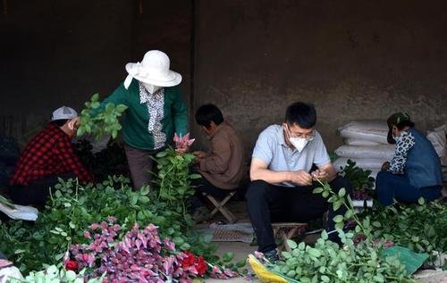 海归女硕士包下2千亩荒山当农民，这算学有所成吗？