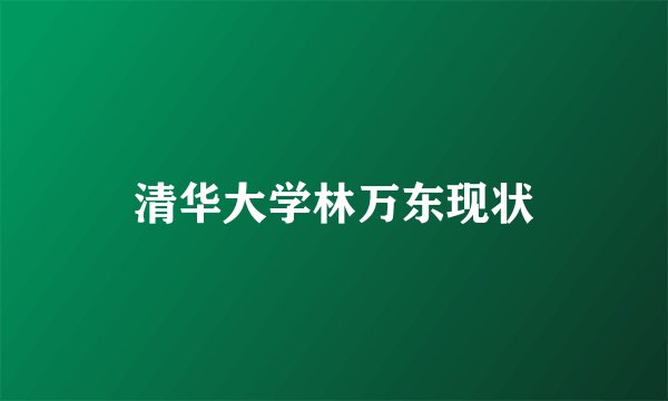 清华大学林万东现状