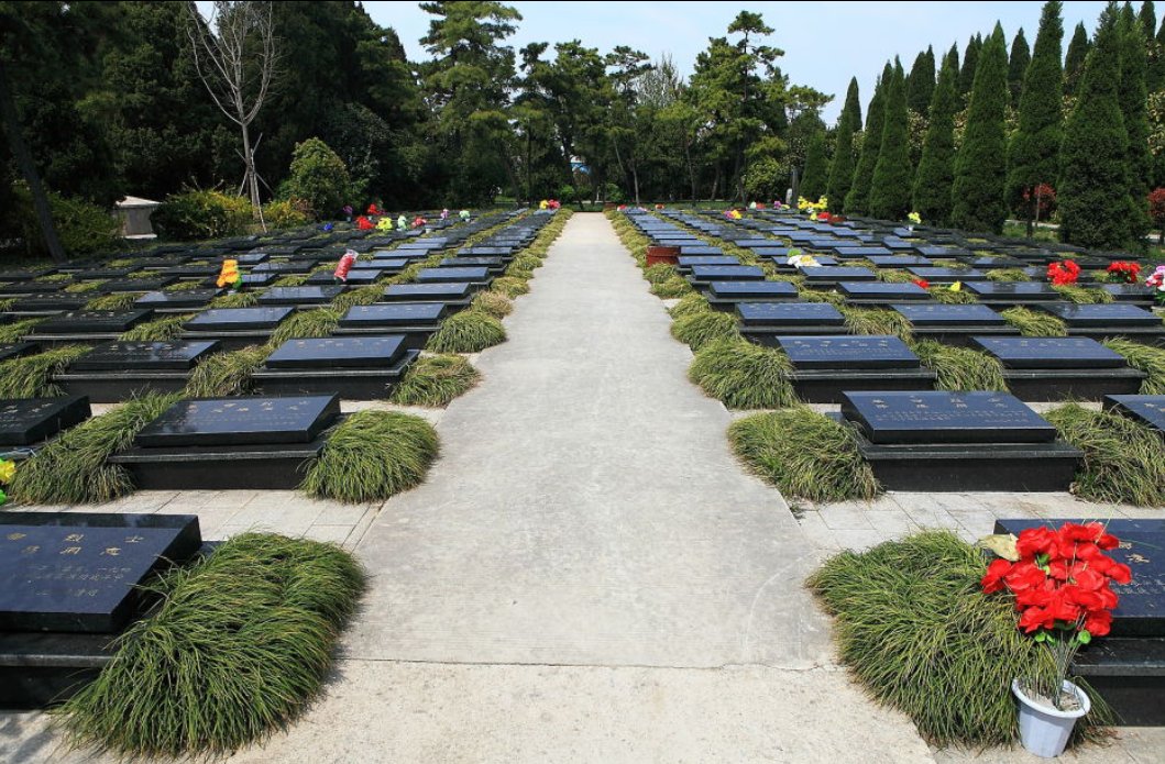 辣笔小球被刑拘了，他都做了什么事情？