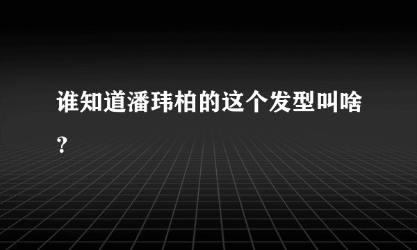 谁知道潘玮柏的这个发型叫啥？