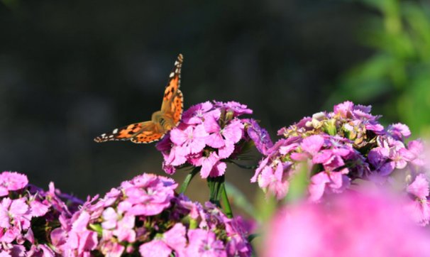 一年有几个季度