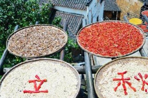 秋老虎来了！破纪录高温或已在路上，为何立秋了还这么热？