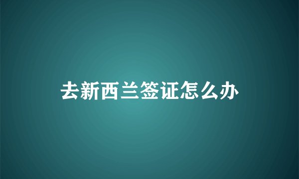 去新西兰签证怎么办