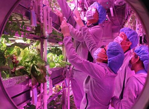 什么是“月宫一号”？