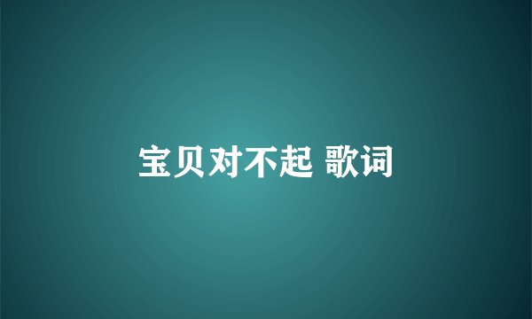 宝贝对不起 歌词