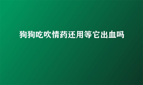 狗狗吃吹情药还用等它出血吗