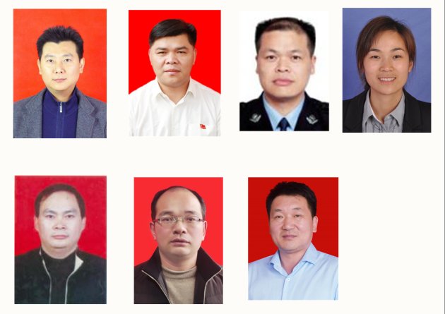 奉新县有几个副县长