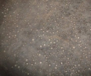 椰汁西米露的做法