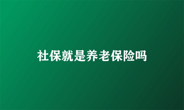 社保就是养老保险吗