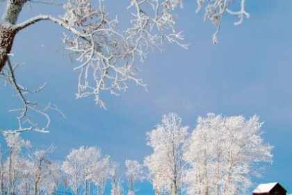 20个生活中的自然现象有哪些