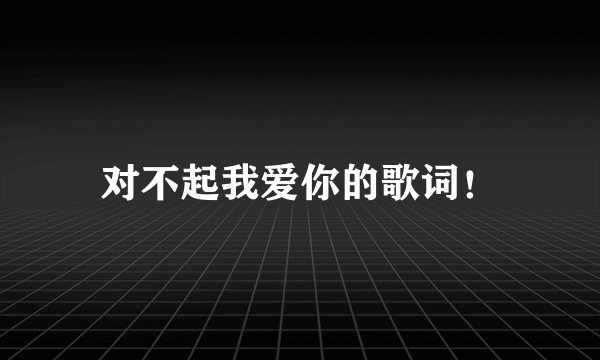 对不起我爱你的歌词！