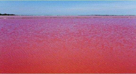 什么叫血湖，血湖是什么来的，是怎样形成的？