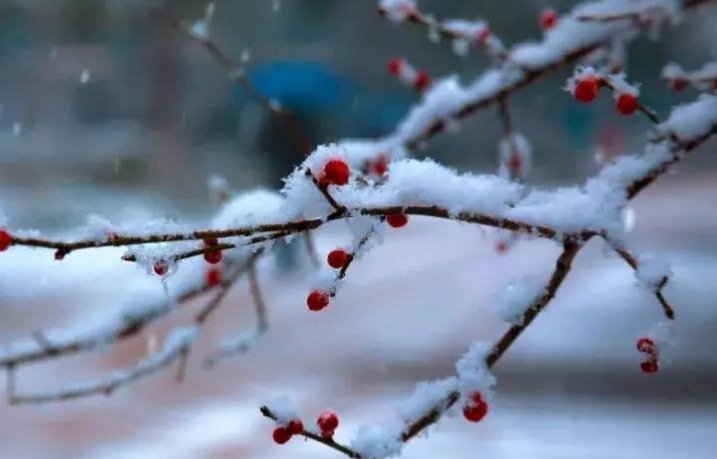 “数九寒天”是指冬天最冷的那些日子，“数九”是从哪个节气开始？