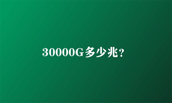 30000G多少兆？