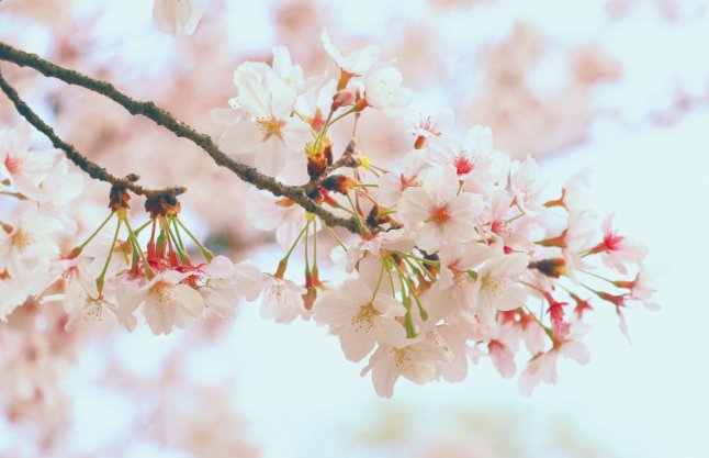 免费个性签名大全