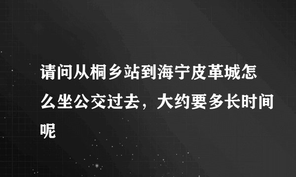 请问从桐乡站到海宁皮革城怎么坐公交过去，大约要多长时间呢