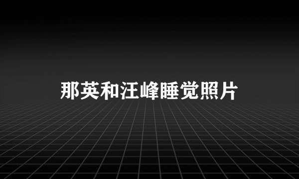 那英和汪峰睡觉照片