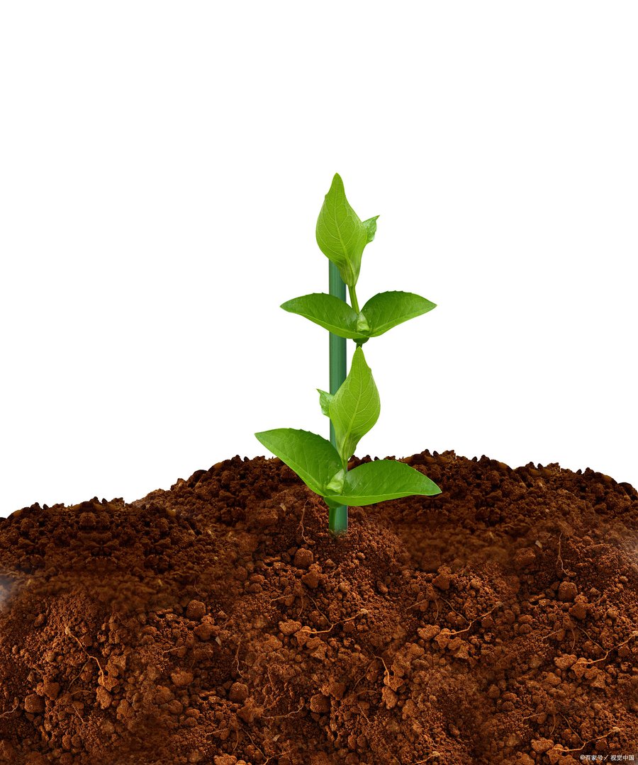 常见的有机肥和无机肥有哪些？