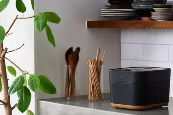 日本电饭煲排名第一是哪个？求推荐